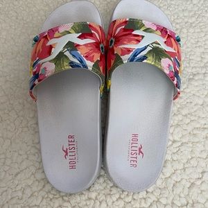 HOLLISTER SLIDES